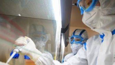 صورة الصحة: ارتفاع حالات الشفاء من مصابي فيروس كورونا إلى 41 وخروجهم من مستشفى العزل