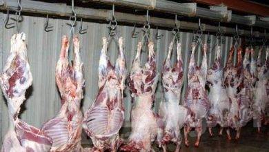 صورة زيادة أسعار اللحوم بنسبة ٥٠% قبل قدوم عيد الأضحى