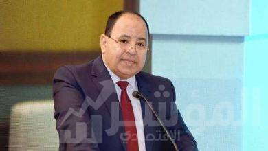 صورة وزير المالية: ثورة ٣٠ يونيو.. ميلاد جديد لمصر