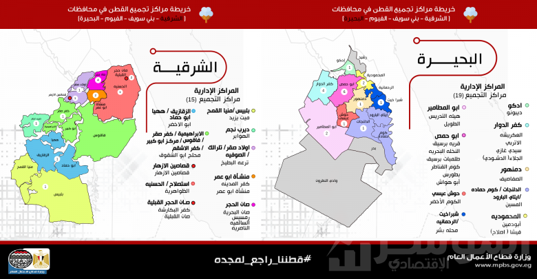 انطلاق منظومة تداول القطن الجديدة في البحيرة والشرقية