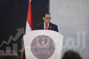 محمد عمران رئيس هيئة الرقابة المالية