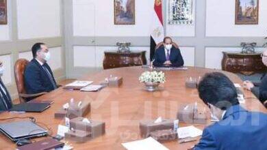 صورة وزير الزراعة: توجيهات الرئيس السيسي بسرعة الانتهاء من مشروع الدلتا الجديدة