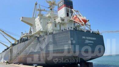 صورة ميناء شرق بورسعيد يستقبل أكبر سفينة صب جاف لشحن 60 ألف طن كلينكر