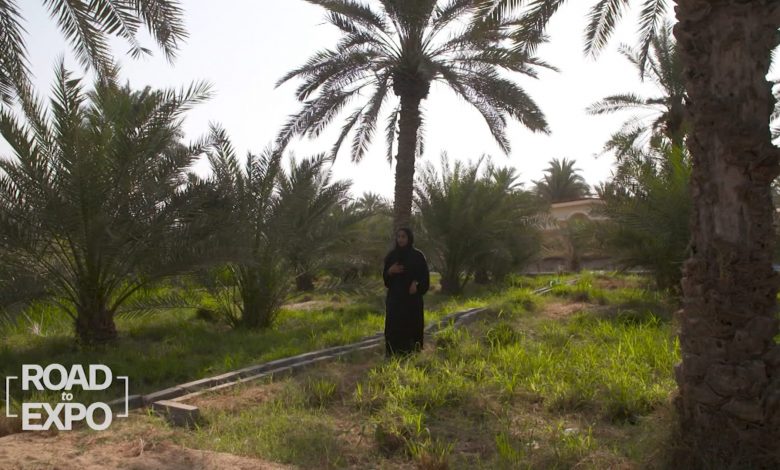 شاهد-كيف-يحاول-إكسبو-2020-دبي-إلهام-زواره-لإحداث-تغيير-في-مجتمعاتهم