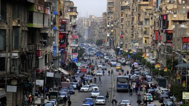 دار-الإفتاء-المصرية-تعلق-على-زواج-مصري-من-33-امرأة-كـ”مُحلِل”