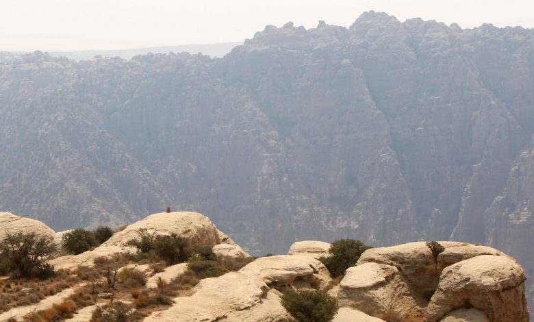 لغز-التنقيب-عن-النحاس-يضع-محمية-ضانا-الطبيعية-في-الأردن-أمام-قرار-مصيري