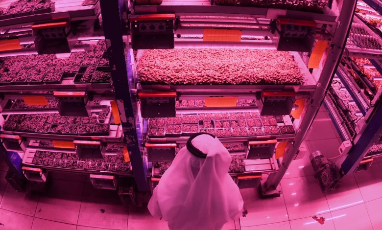 بين-السعودية-والإمارات-وقطر.-من-تصدر-الدول-العربية-بمؤشر-الابتكار-2021؟