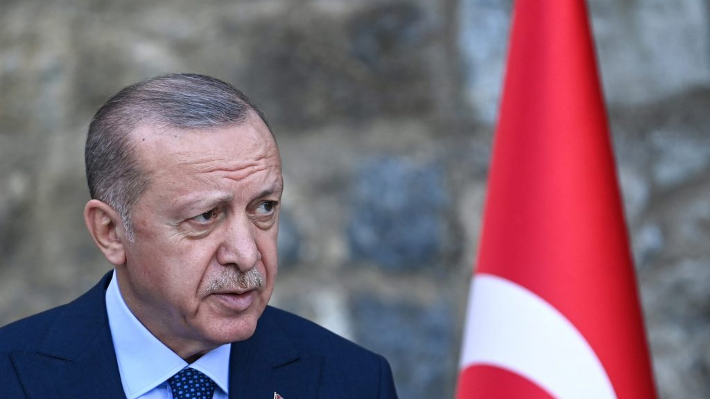 أردوغان-يأمر-باعتبار-سفراء-10-دول-“أشخاصًا-غير-مرغوب-فيهم”-بعد-مطالبتهم-بإطلاق-سراح-عثمان-كافالا