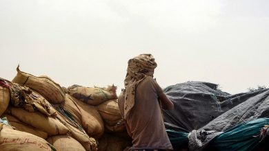 التحالف-في-اليمن:-مقتل-260-متمردًا-من-الحوثيين-في-ضربات-جوية-خلال-72-ساعة