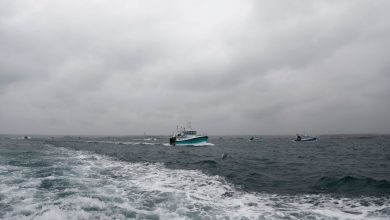 فرنسا-تحتجز-قاربا-بريطانيا-مع-تصاعد-أزمة-حقوق-الصيد-بين-البلدين