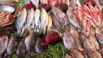 صورة أسعار الأسماك فى الأسواق اليوم الأربعاء
