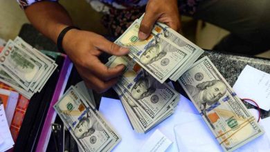 صورة استقرار أسعار الدولار مقابل الجنيه المصري في بداية التعاملات اليومية