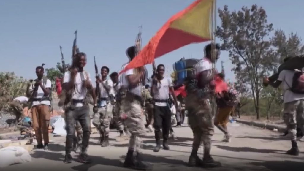 المتمردون-على-مشارف-عاصمة-إثيوبيا.-هل-بات-انهيار-الحكومة-وشيكًا؟