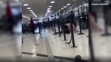 شاهد-لحظات-الهلع-والفوضى-في-مطار-أتلانتا-بعد-إطلاق-نار-“بالخطأ”