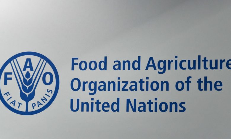 إليكم-5-رسائل-بتقرير-حالة-الأغذية-والزراعة-الصادر-عن-fao