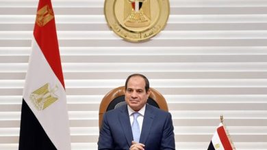 صورة الرئيس السيسي: نعمل على زيادة الأراضي الزراعية لتوفير السلع للمصريين.. واستصلاح الفدان يتكلف 300 ألف جنيه