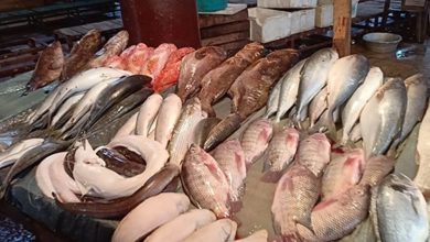 صورة أسعار الأسماك في مصر اليوم الأحد.. قشر البياض 80 جنيها