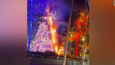 شاهد-لحظة-إشتعال-شجرة-عيد-ميلاد-عملاقة-أمام-محطة-فوكس-نيوز