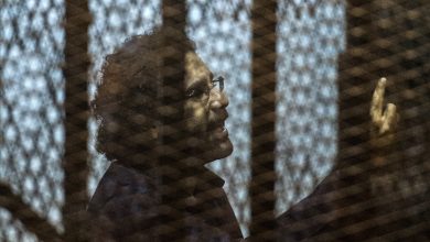 صورة كيف ردت مصر على موقف الخارجية الأمريكية من سجن علاء عبدالفتاح؟