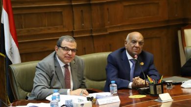 صورة سعفان : مشروع قانون العمل الجديد يضع الدولة المصرية في مكانتها اللائقة بين دول العالم