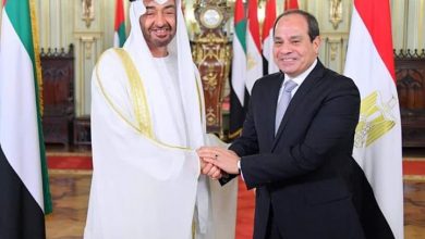 صورة محمد بن زايد يؤكد الدور المحوري لمصر بقيادة الرئيس السيسي في حماية الأمن العربي