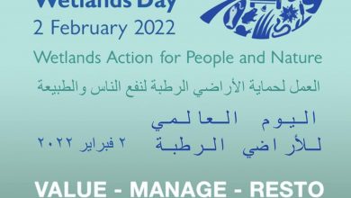 صورة مصر تشارك العالم الاحتفال باليوم العالمي للأراضي الرطبة على منصات التواصل الاجتماعى