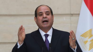 السيسي:-نأمل-انتهاء-الأزمات-حتى-لا-يرتفع-سعر-النفط.-ولا-مشكلة-لدى-مصر-في-القمح-والسلع