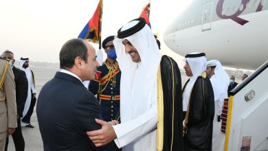 أهم-زيارة-ومصافحة-هذا-الأسبوع”.-أكاديمي-إماراتي-مُعلقا-على-صورة-لأمير-قطر-والرئيس-المصري