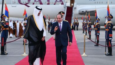 بيان-رئاسي-مصري:-أمير-قطر-هنأ-السيسي-بـ”ثورة-30-يونيو”