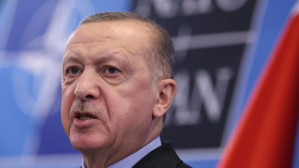 أردوغان-يجدد-تهديده-بـ”تجميد”-انضمام-فنلندا-والسويد-إلى-الناتو
