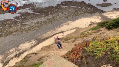 شاهد-لحظة-إنقاذ-رجل-سقط-من-منحدر-على-ارتفاع-100-قدم-بولاية-كاليفورنيا