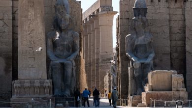 كيف-يمكن-لمصر-زيادة-إيرادات-السياحة-إلى-30-مليار-دولار؟.-رجال-أعمال-يجيبون