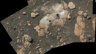 اكتشاف-على-سطح-المريخ-يثير-فضول-العلماء.-هل-كانت-هناك-حياة؟