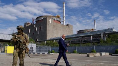 الأكبر-في-أوروبا.-بوتين-يوقع-مرسومًا-يضع-محطة-زاباروجيا-النووية-تحت-سيطرة-روسيا