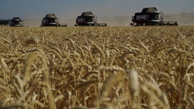 كيف-يهدد-انسحاب-روسيا-من-صفقة-الحبوب-مع-أوكرانيا-بالمجاعات-حول-العالم؟