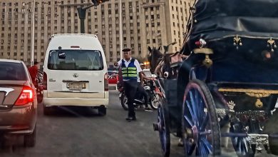 مصر-تواجه-انتقادات-لاتهامها-بـ”قمع-نشطاء”-قبل-قمة-المناخ-cop27