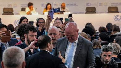 اشتباك-كلامي-بين-شقيقة-علاء-عبدالفتاح-وبرلماني-مصري-على-هامش-قمة-المناخ