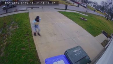 فيديو-مراقبة-يظهر-لصا-يسرق-سيارة-بداخلها-طفلة-أمام-والدتها.-شاهد-رد-فعلها