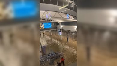 أغرقته-المياه.-شاهد-ما-حدث-لمطار-أوكلاند-في-نيوزلندا-بسبب-الفيضانات