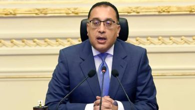 استطلاع لـ"معلومات الوزراء": 95.9% من المصريين يستخدمون موقع التواصل فيس بوك