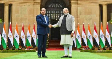مكاسب وروابط تاريخية.. علاقات اقتصادية قوية تربط بين مصر والهند