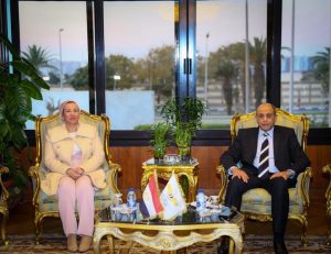 وزيرا الطيران والبيئة يفتتحان محطة للطاقة الشمسية بمطار القاهرة