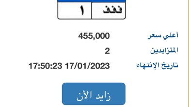 مزاد إلكترونى على لوحات سيارات مميزة بـ 455 ألف جنيه