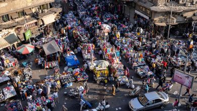 مصر-تعد-حوافز-مالية-لخفض-معدل-الإنجاب.-وبرلمانية-تشير-إلى-التجربة-الصينية