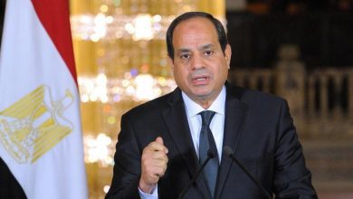 الرئيس السيسى يستقبل وزير دفاع موريتانيا