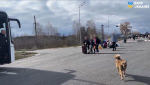 بعد-أن-رحلتهم-روسيا.-شاهد-لحظة-عودة-أكثر-من-30-طفلاً-أوكرانيا-لبلادهم