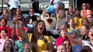 لعشاق-كرة-القدم-النسائية.-100-يوم-فقط-على-انطلاق-كأس-العالم-للسيدات