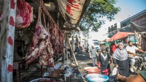 مصر.-مسؤول-يكشف-لـcnn-بالعربية-حقيقة-وجود-لحوم-محقونة-بهرمونات-محظورة-دوليا