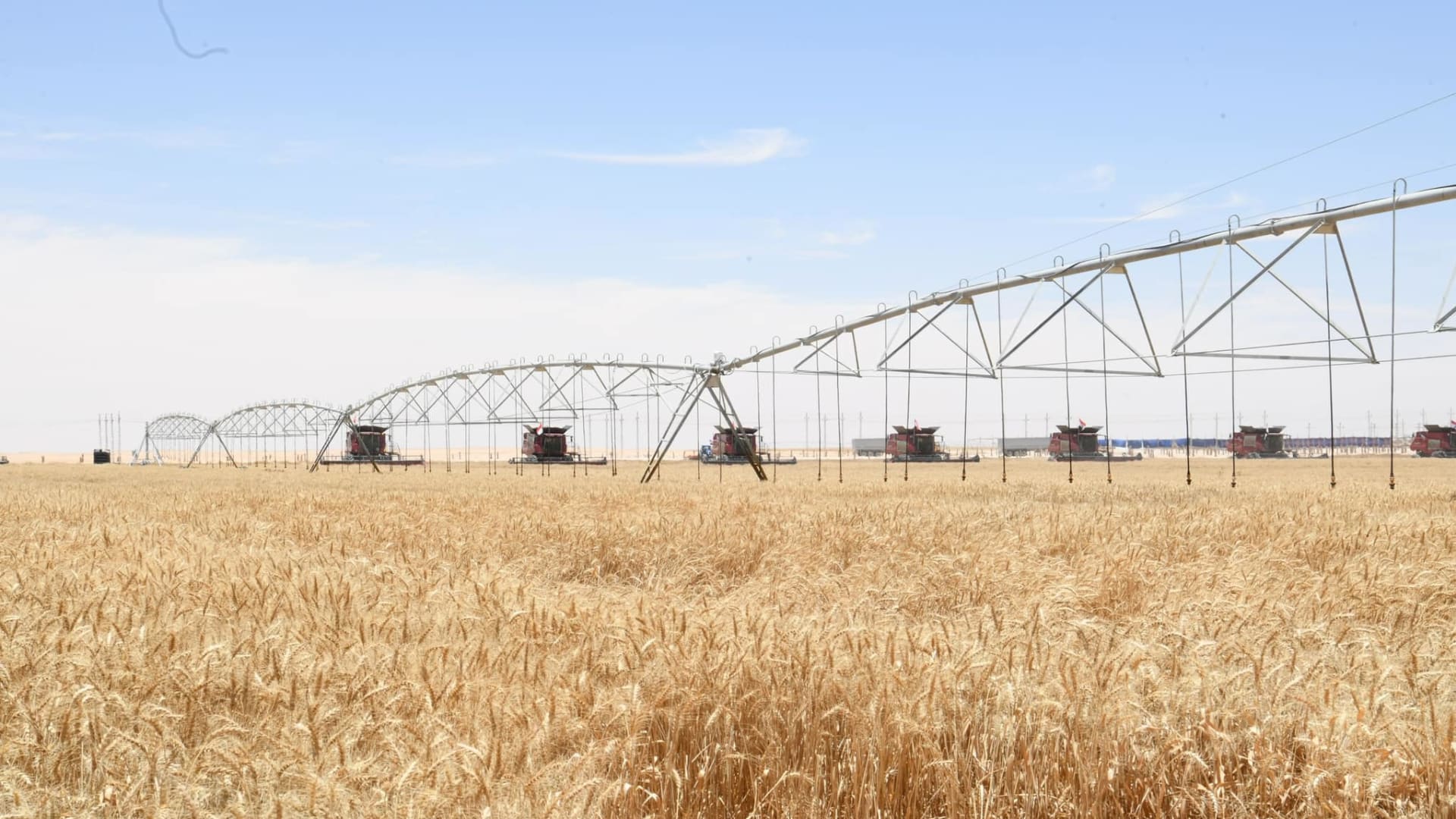 وزير التموين: نستهدف استلام 5 ملايين قمح محلى هذا العام لتعزيز المخزون