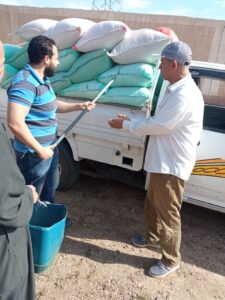 البنك الزراعي المصري يبدأ استلام محصول القمح من المزارعين والموردين ٢